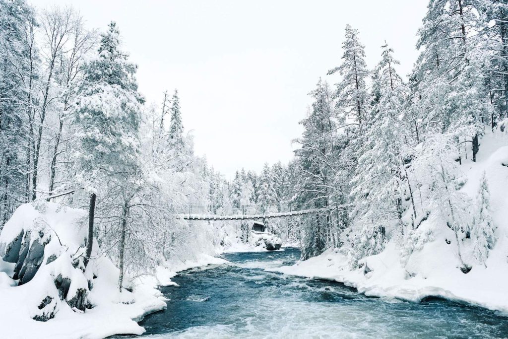 Parc national d'Oulanka en hiver
