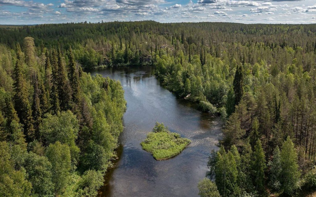 Rivière Oulankajoki dans le Parc National d'Oulanka, Finlande