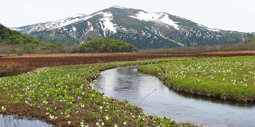 Oze Marshland, Japan