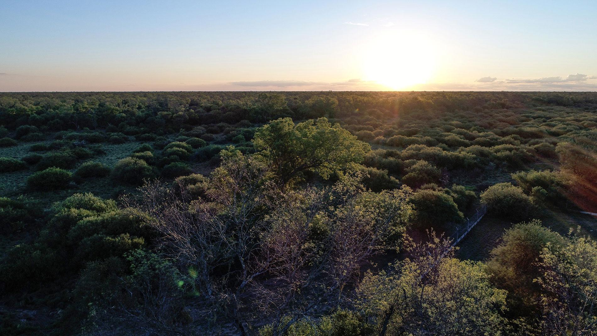 Nationaal Park Copo in Santiago del Estero, Argentinië