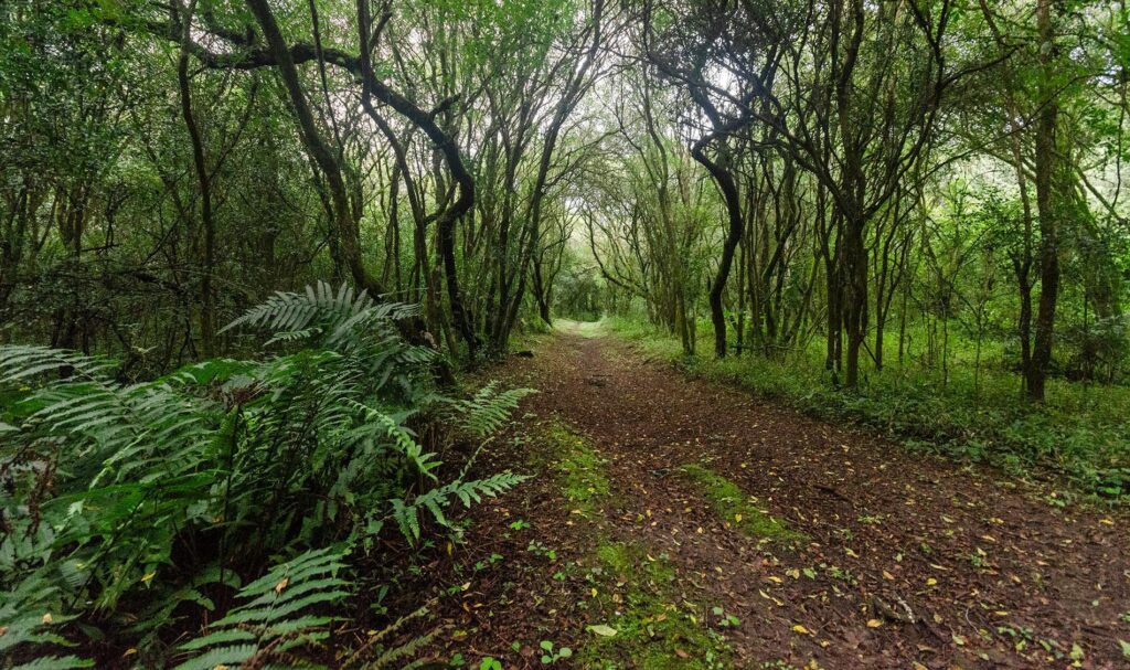 El Rey National Park