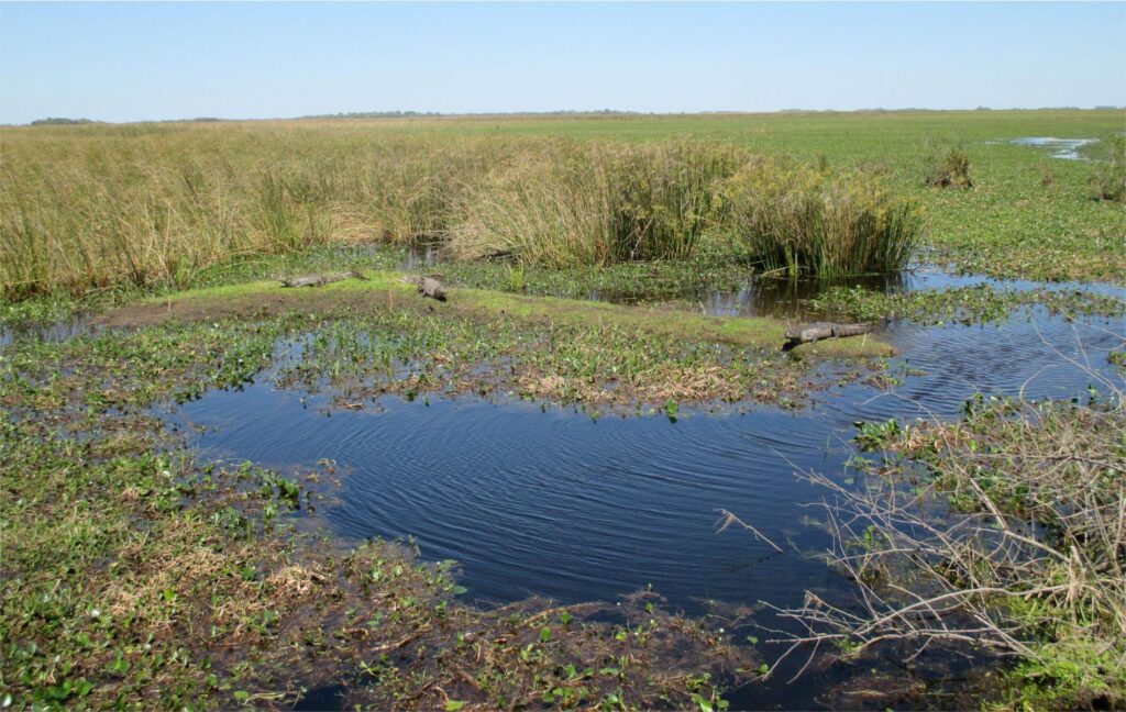 Iberá National Park