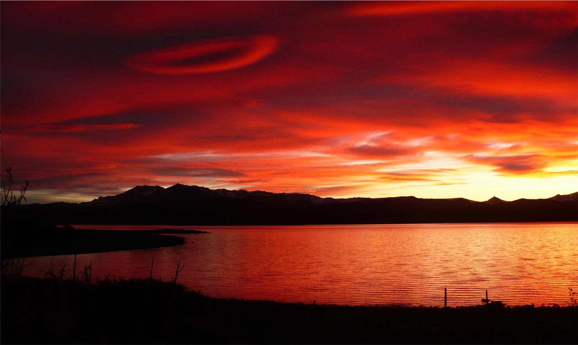 Nationaal Park Laguna Blanca in Zapala (Neuquén, Argentinië)