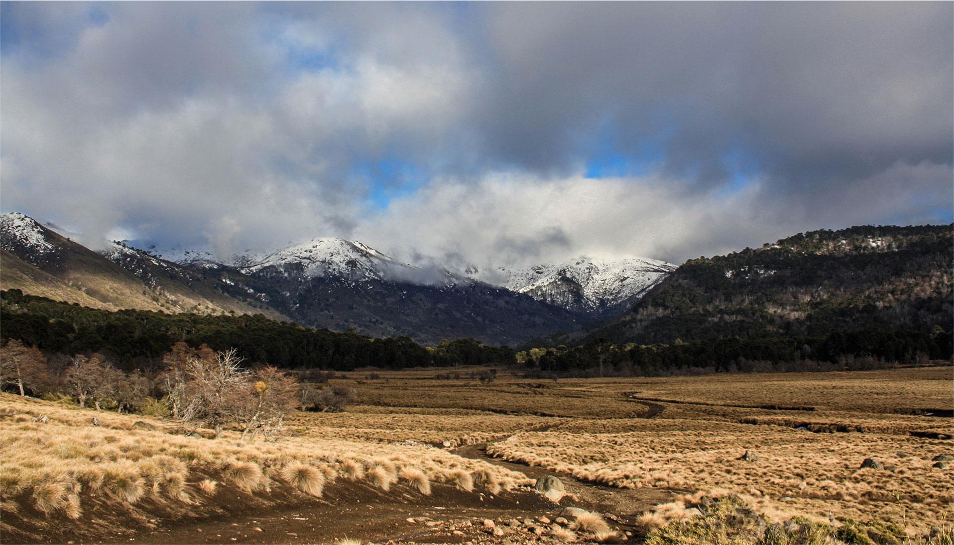 Nationaal Park Lanín in de Patagonië van Argentinië (Provincie Neuquén)