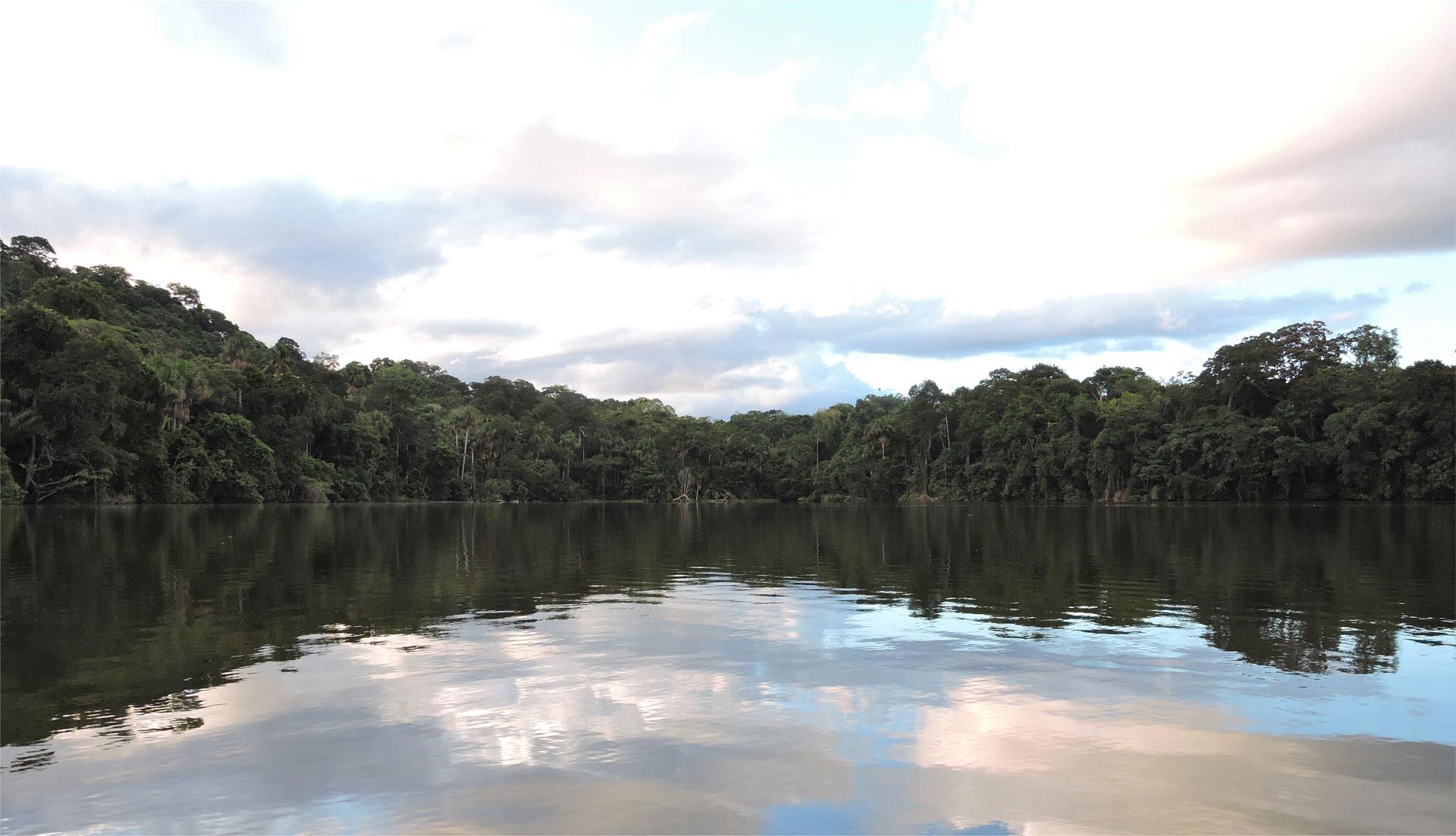 Madidi Nationaal Park en Geïntegreerd Natuurlijke Beheersgebied, Bolivia