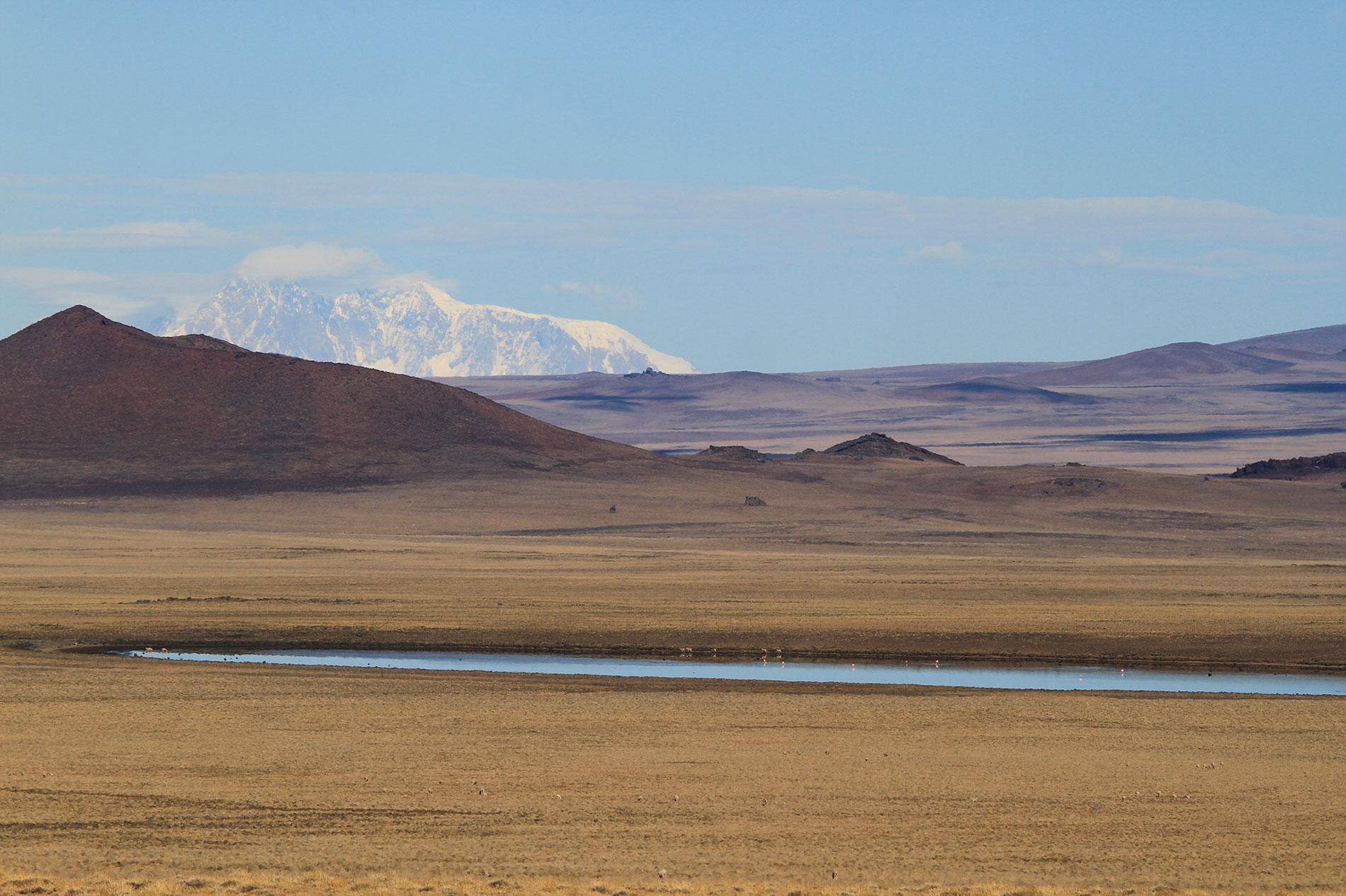 Parc national Patagonia (Argentine)