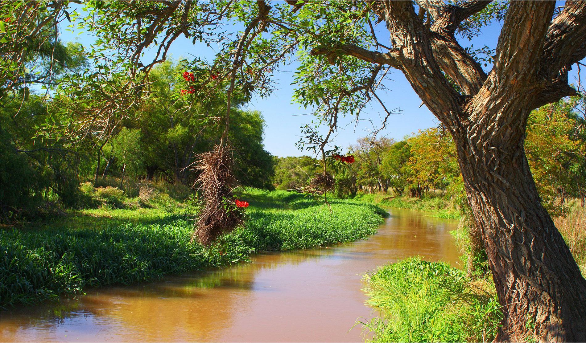 Pre-Delta Nationaal Park, Argentinië (Entre Ríos, Stad Diamante)