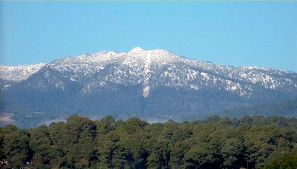 Pico de Tancítaro Flora and Fauna Protection Area