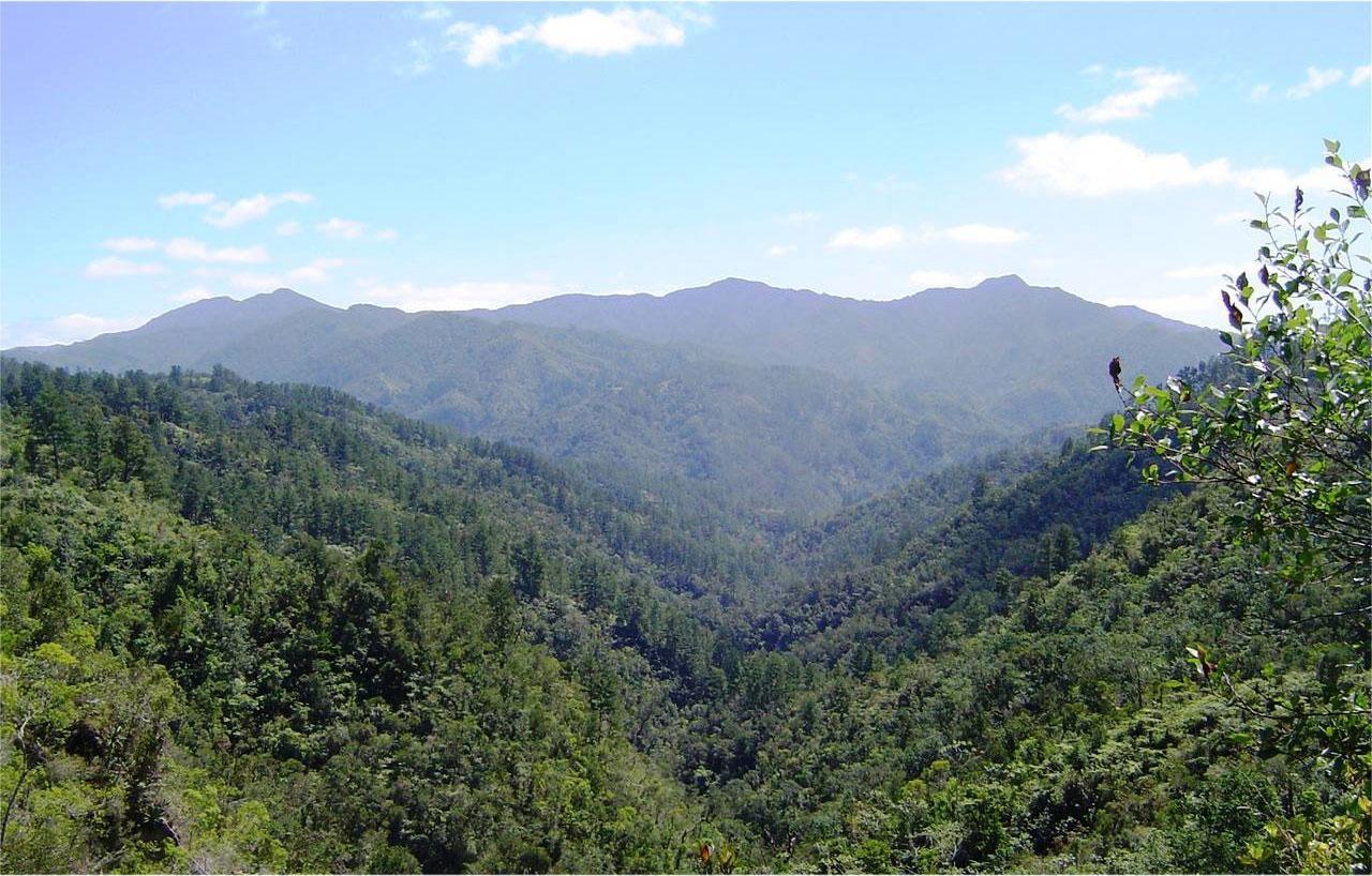 Nationalpark Pico La Bayamesa