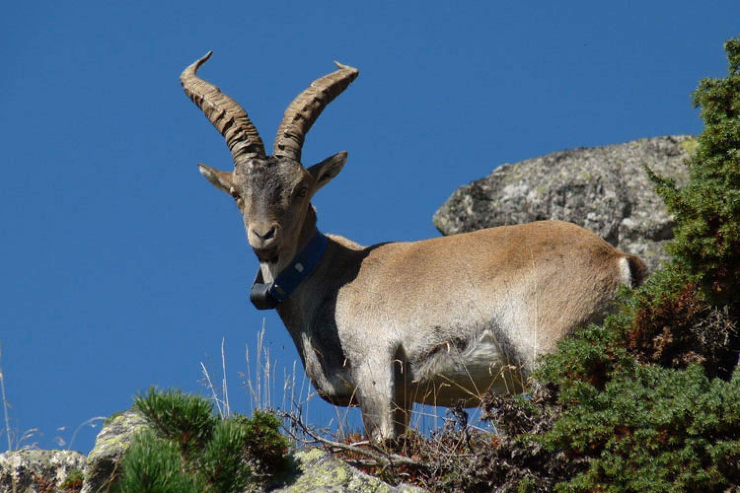 Pyrenees National Park, France: What to See, Do, and Visit