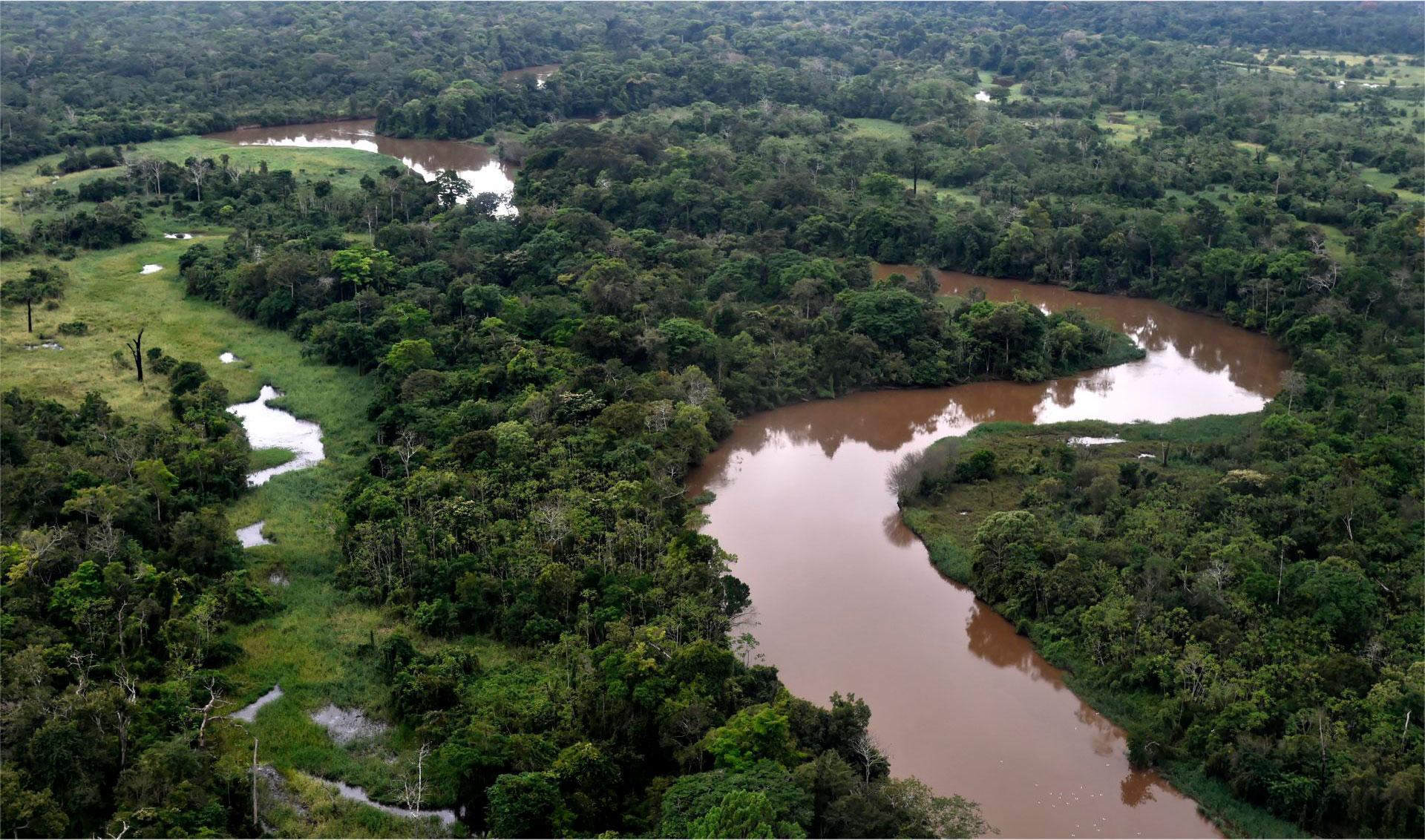 Manuripi Heath Amazone Wildlife Nationaal Reserve, Bolivia