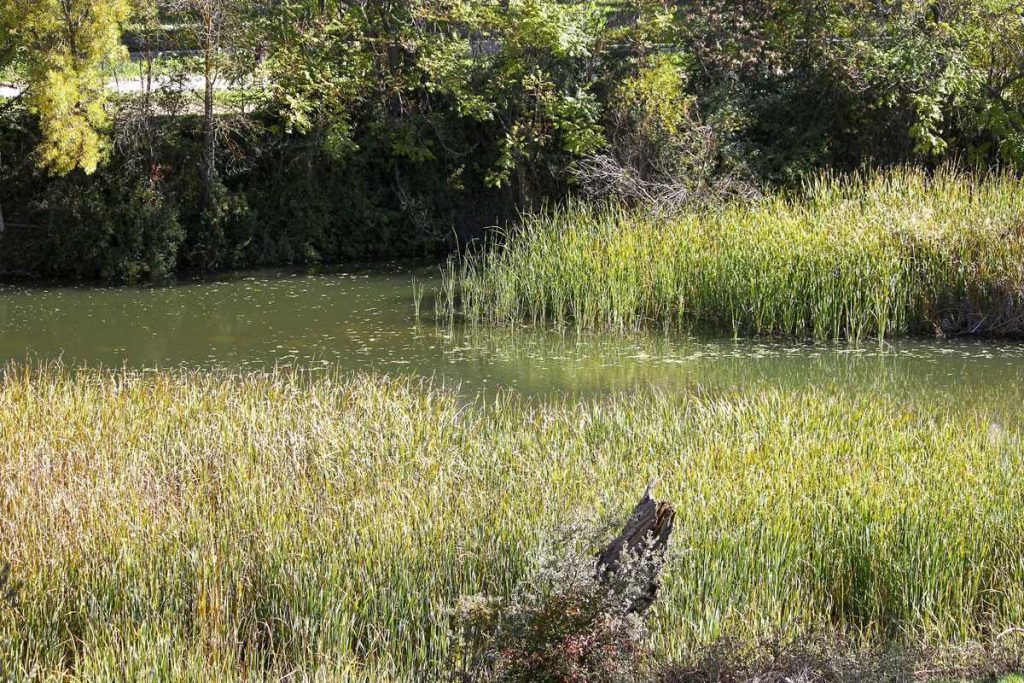 Manzanares-Fluss in Madrid, Spanien. Er entspringt in der Sierra de Guadarrama auf einer Höhe von 2.063 Metern in La Pedriza