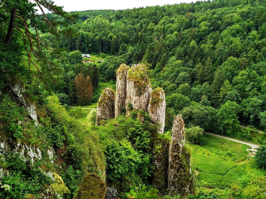 Formations rocheuses à voir et à faire dans le parc national d'Ojców, Pologne