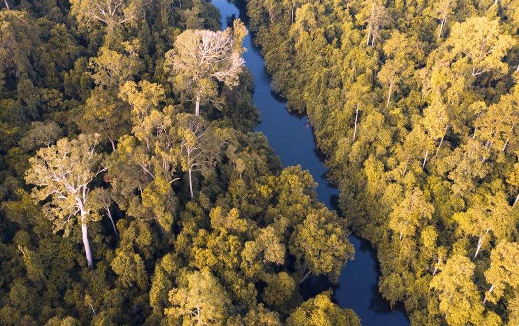 Nationalpark Taman Negara, Malaysia: Besucherleitfaden