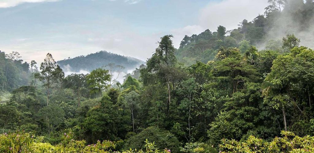 Geographie des geschützten Gebiets des Taman Negara, Malaysia