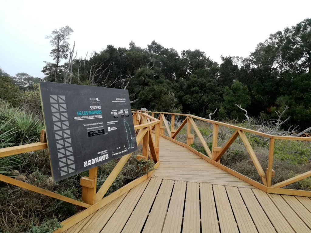 Tourist attractions and activities in Bosque Fray Jorge National Park