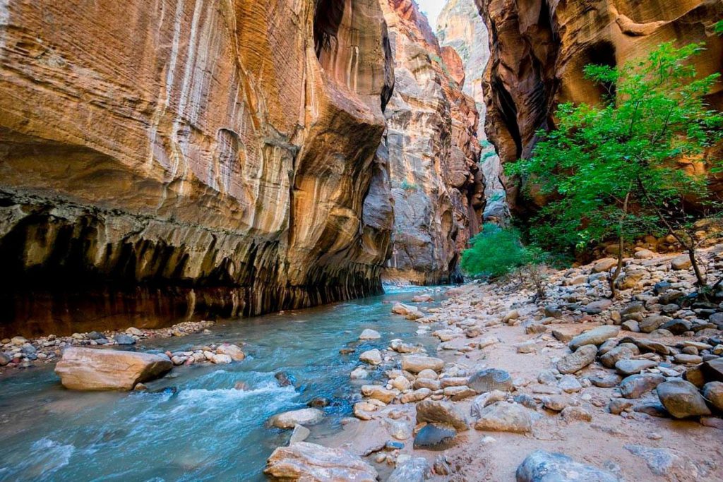 Zion National Park